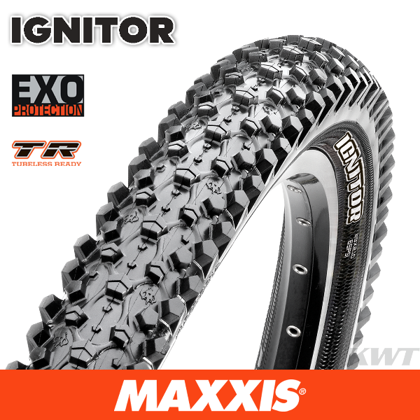 Maxxis ignitor exo on sale