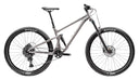 25 Silverback SE Trail 10 29" - Gloss Moondust Metallic/Matte -