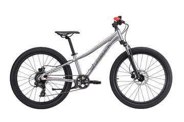 25 Silverback Spyke SE 24 - Moondust Metallic
