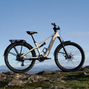 Amflow TL Carbon -