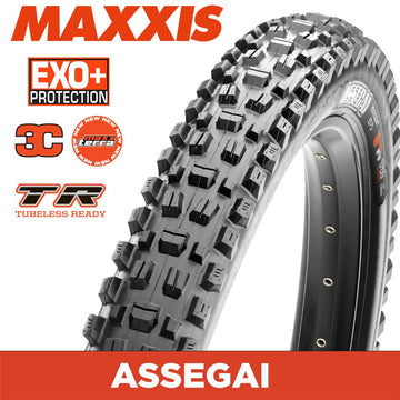 Maxxis Assegai 29X2.60 - MaxxTerra V2 EXO+ TR 60TPI