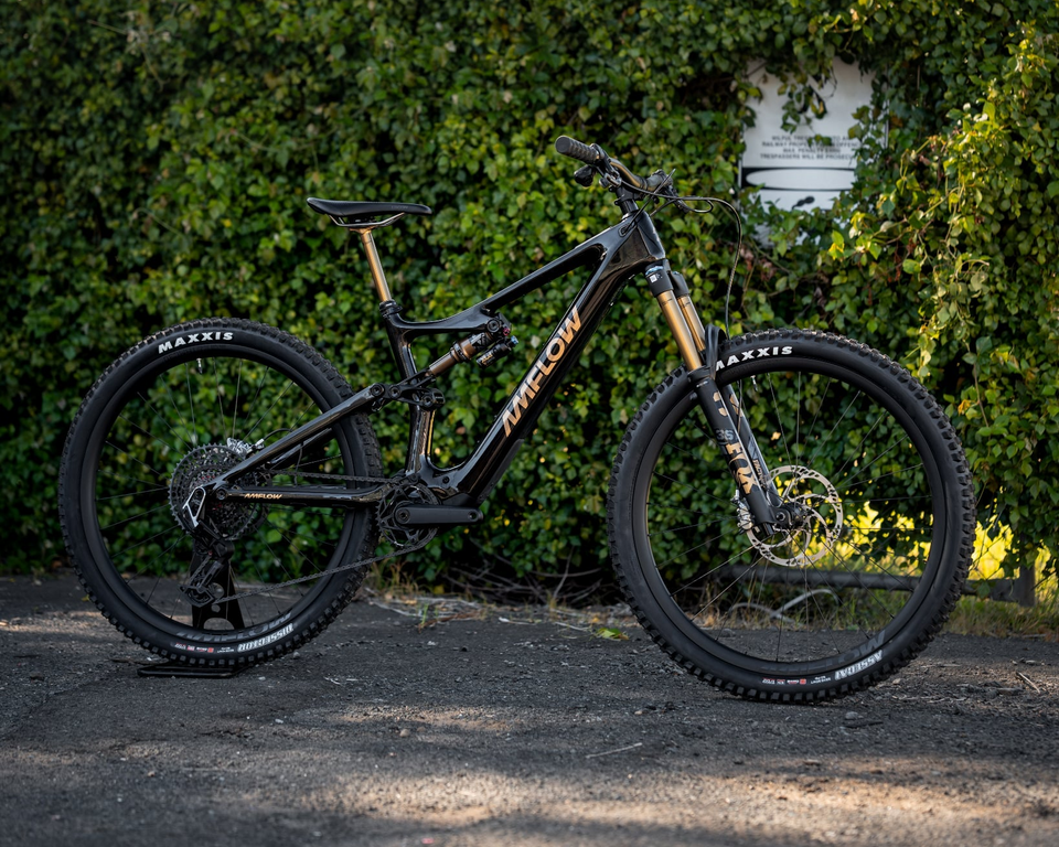 25 Silverback SE Trail 10 29