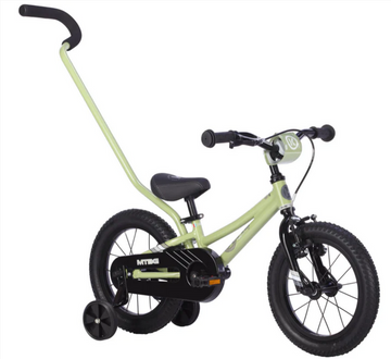 BYK E250 MTB - Sage Green/Black