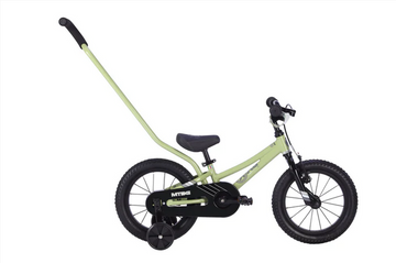 BYK E250 MTB - Sage Green/Black