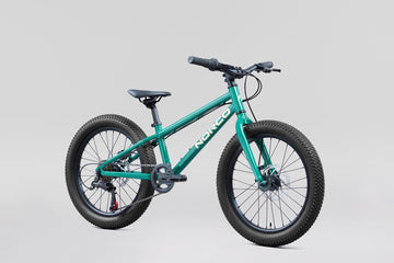 27 Norco Storm 20 Disc - Green