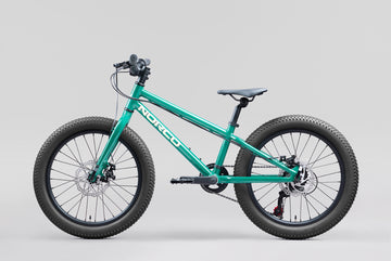 27 Norco Storm 20 Disc - Green