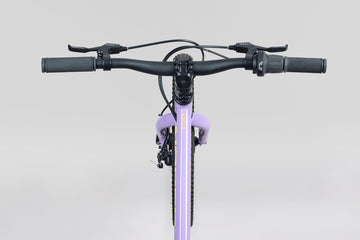25 Norco Storm 20 Disc - Purple