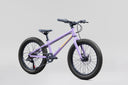 25 Norco Storm 20 Disc - Purple
