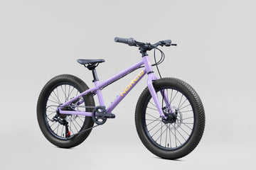25 Norco Storm 20 Disc - Purple
