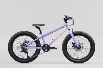 25 Norco Storm 20 Disc - Purple