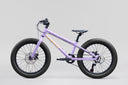25 Norco Storm 20 Disc - Purple