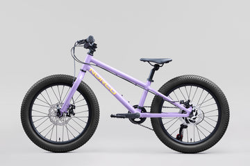 25 Norco Storm 20 Disc - Purple