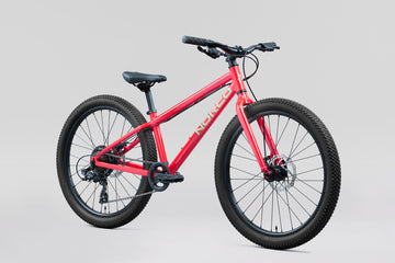 27 Norco Storm 24" Disc - Red