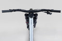 27 Norco Torrent DH A1 - Raw Alloy -