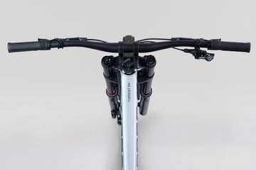 27 Norco Torrent DH A1 - Raw Alloy -