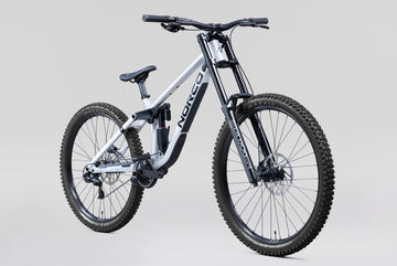 27 Norco Torrent DH A1 - Raw Alloy -