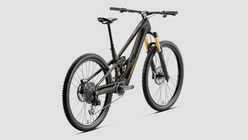 27 Orbea Wild LT M10 - Magic Gold/Titan Gold -
