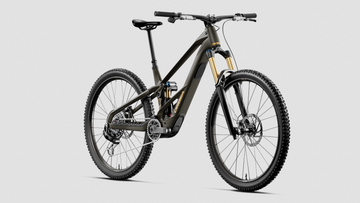 27 Orbea Wild LT M10 - Magic Gold/Titan Gold -