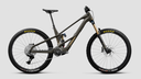 27 Orbea Wild LT M10 - Magic Gold/Titan Gold -