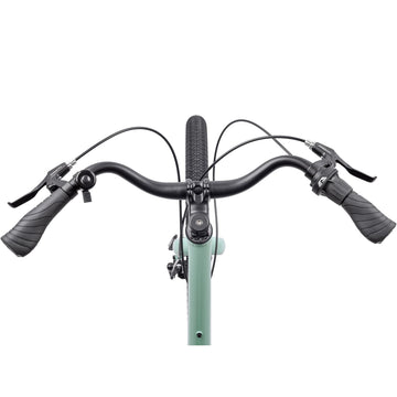 Pedal Orion 2 Cruiser Bike - Gloss Sage -