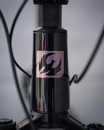 27 Pivot Shuttle Amp'd - Pro X0  - Burgandy Berry Freeze -