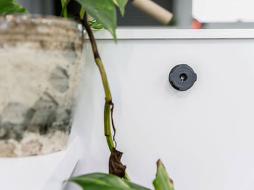Quad Lock Adhesive Wall Mount