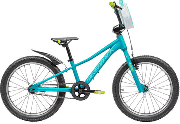Silverback Skid 20" - Teal Lagoon