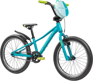 Silverback Skid 20" - Teal Lagoon