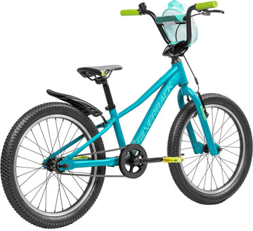 Silverback Skid 20" - Teal Lagoon
