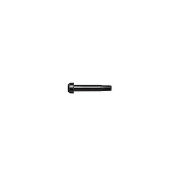 Santa Cruz Chamfered M8 x 1.25 Shock Bolt -