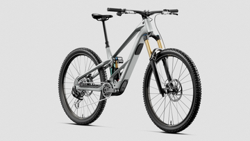 27 Orbea Wild LT M10 - Smooth Silver/Escape Green -