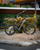 <p>SANTA CRUZ<em> Vala</em></p>