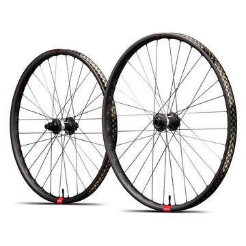 Reserve 30 DH 29" Carbon 6 Bolt - DT 350 DEG DF -