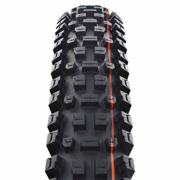 Schwalbe Albert Gravity Pro Soft Radial TLR - 29 x 2.5