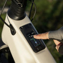Amflow TL Carbon -