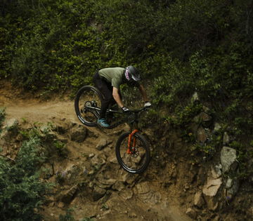Pivot Firebird Carbon 29" - Pro XT/XTR Air - Silver Sunrise -