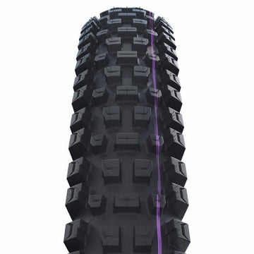 Schwalbe Albert Gravity Pro Ultra Soft Radial TLR - 29 x 2.5