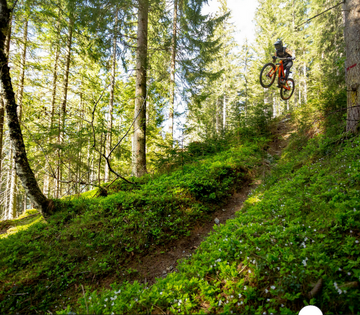 Pivot Firebird Carbon 29" - Pro XT/XTR Air - Silver Sunrise -