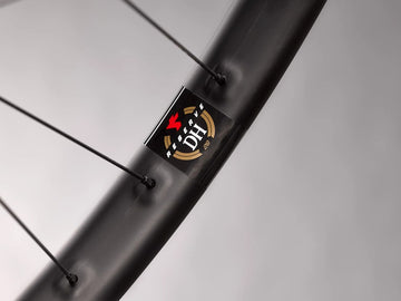 Reserve 30 DH 29" Carbon 6 Bolt - DT 350 DEG DF -