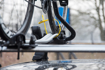 Hiplok Z Lok Combo -