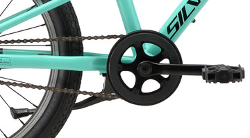 25 Silverback Skid 20" Girls - Teal