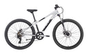 Neo Disc+ 26'' Kids Bike - Brushed Alloy