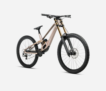 Orbea Rallon D-LTD - Matte Nickel /Gloss Nickel Chrome -