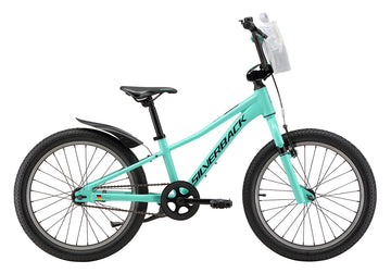25 Silverback Skid 20" Girls - Teal