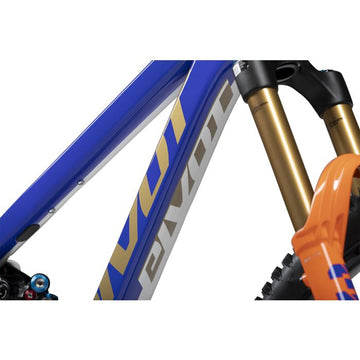 Pivot Firebird Carbon 29" - Pro XT/XTR Air - Leatt Team Edition w/Carbon Wheels -