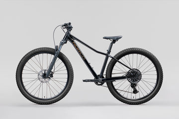 27 Norco Charger 26" - Black