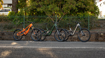<p>Orbea Wild</p>