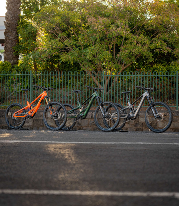 <p>Orbea Wild</p>