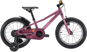 25 Silverback Skid 14" - Purple
