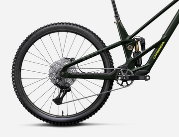 Orbea Rallon RS LTD Custom -